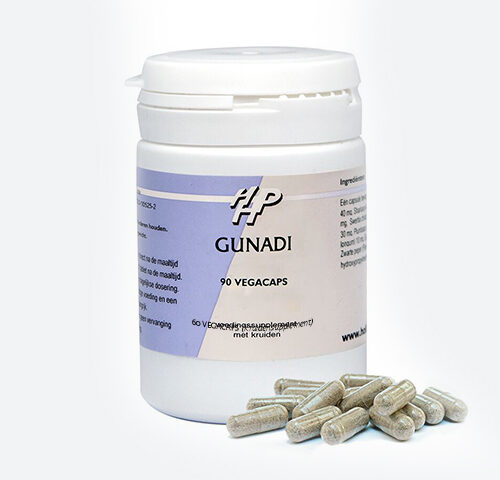 gunadi